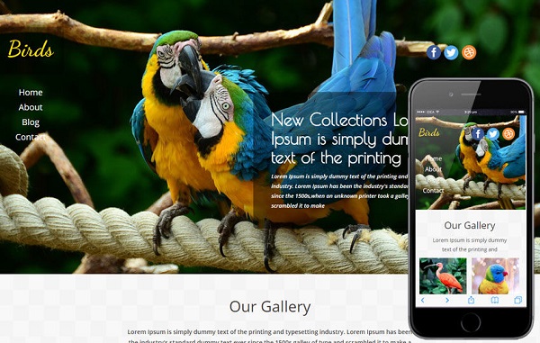 Image Showing A Website Design Template of Birds Business In Both Desktop and Mobile View.