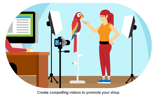 An Animated Image That Showing PEt Owner Train Her Bird To Promote The Pet Business.